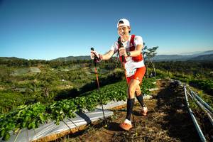 BIB: 934, 
                            <button type="button" onclick="openModal(19115558)" class="btn btn-primary btn-sm float-right btn-popup" data-toggle="modal" data-target=".modal-high-quality">
                        <i class="fas fa-shopping-cart"></i> Add to Cart
                    </button>
                                            <button type="button" onclick="isThisMe(19115558, true)" class="btn btn-success btn-sm float-right btn-popup btn-isme hidden" data-toggle="tooltip" data-placement="bottom" title="นี่คือรูปของคุณใช่ไหม คลิกที่นี่เพื่อเอาเข้าอัลบั้ม">
                        <i class="fas fa-plus"></i> Add to album
                    </button>
                    <button type="button" onclick="isThisMe(19115558, false)" class="btn btn-warning btn-sm float-right btn-popup btn-isnotme hidden">
                        <i class="fas fa-ban"></i> Remove from album
                    </button>